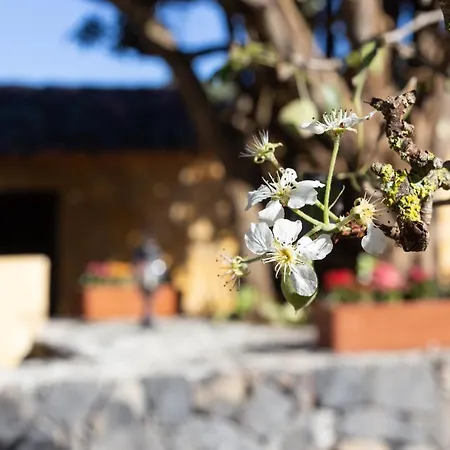 Home2book Rustic House El Palmar * Teno